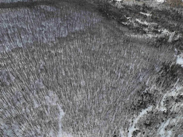 $538,950 | Stannard Mountain Road, Lyndonville, VT 05851