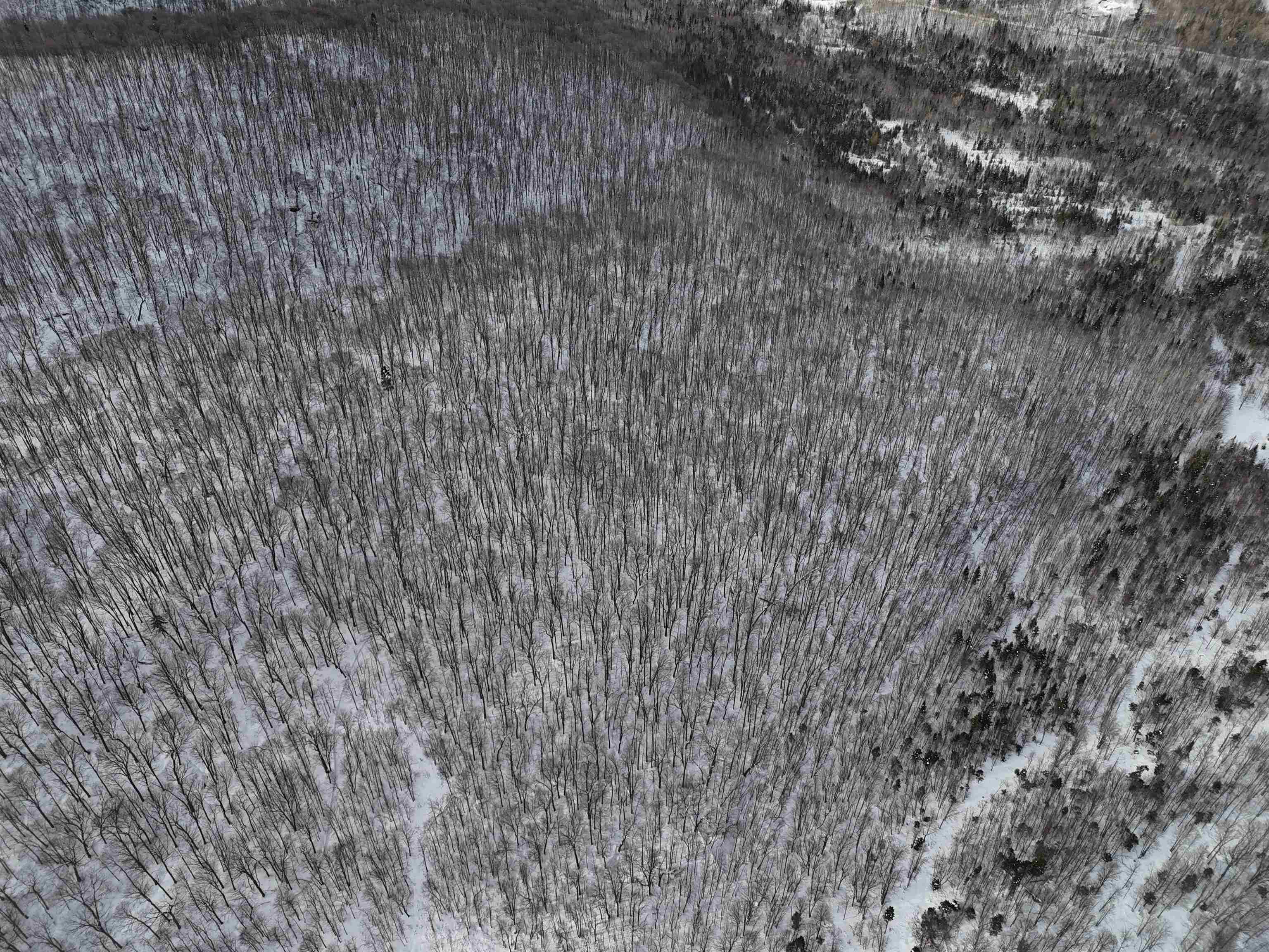 Stannard Mountain Road Lyndonville, VT 05851 - Photo 24 of 35