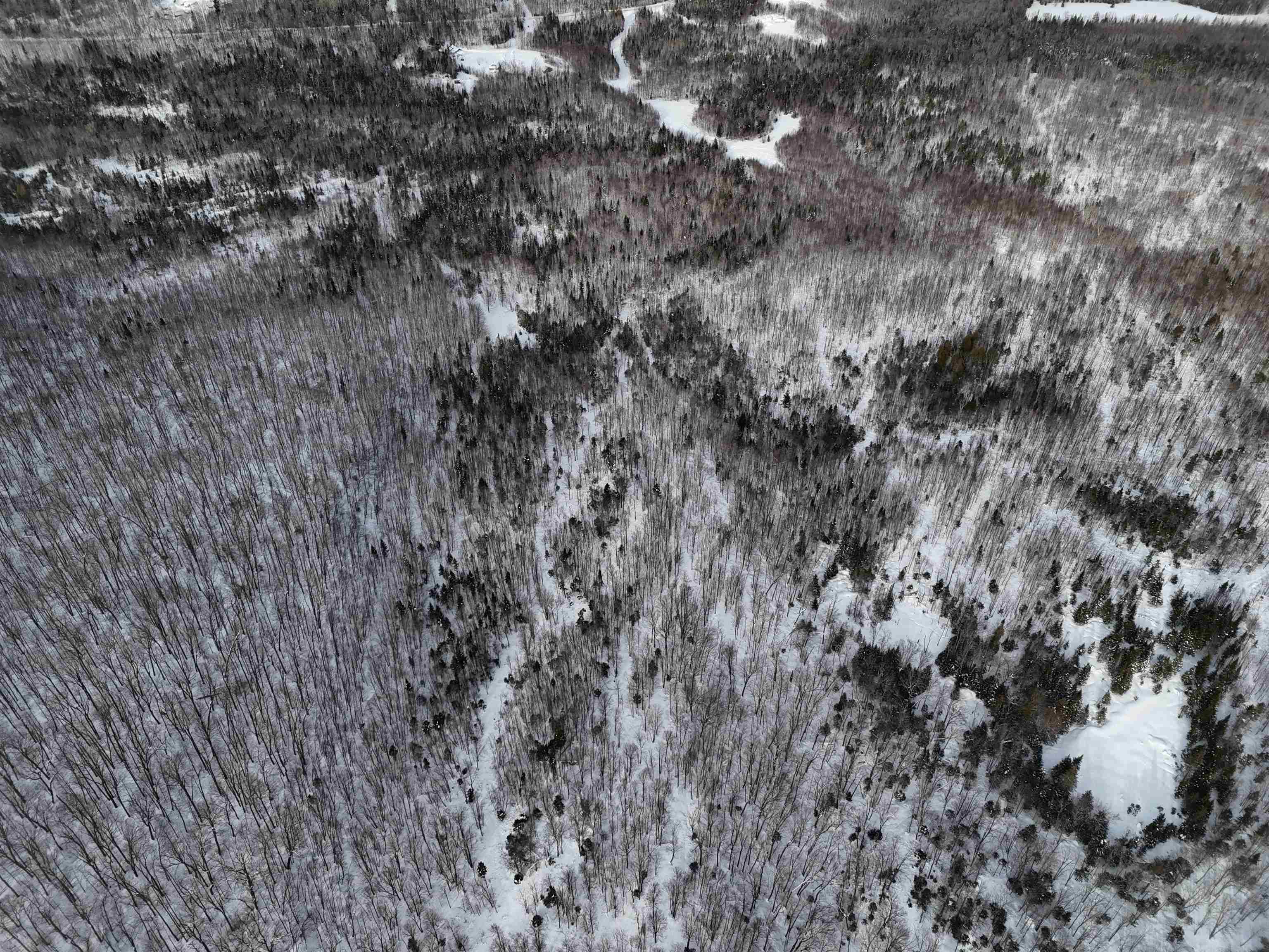 Stannard Mountain Road Lyndonville, VT 05851 - Photo 25 of 35