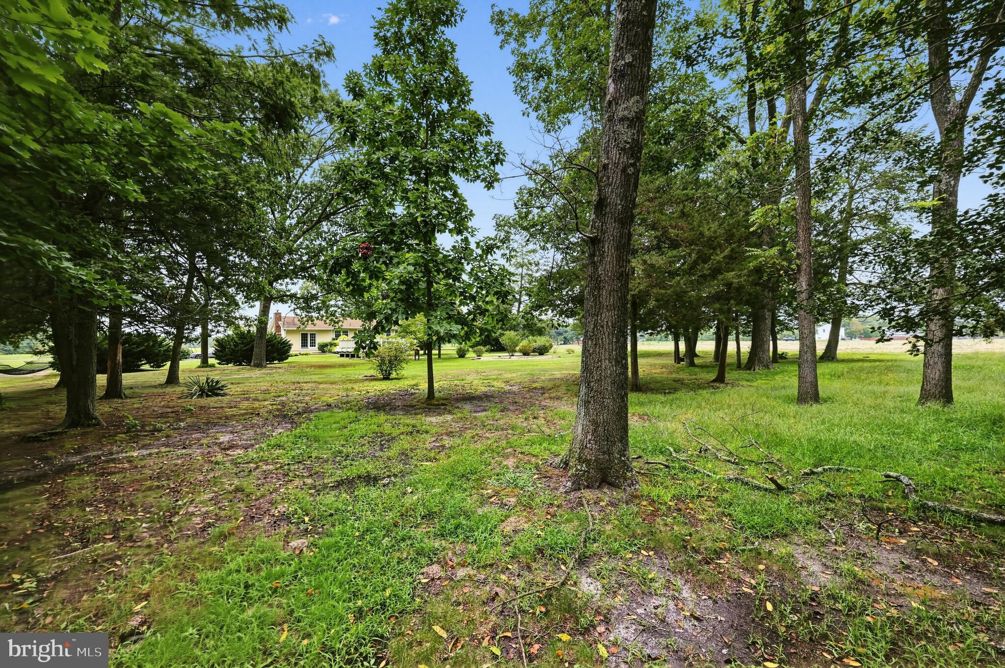 137 Wheat Road Buena, NJ 08360 - Photo 8 of 30 Gallery Image 8
