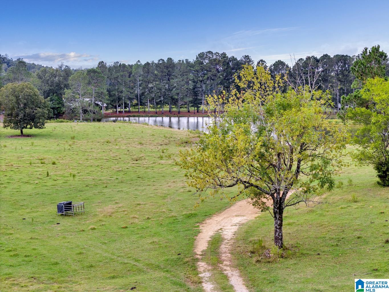 44 Nunnally Lake Road Ohatchee, AL 36271 - Photo 35 of 90
