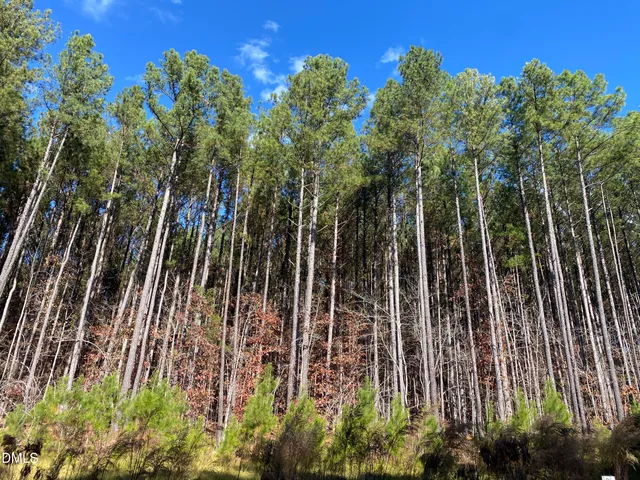 $200,000 | 586 Anneliis Lane, Siler City, NC 27344