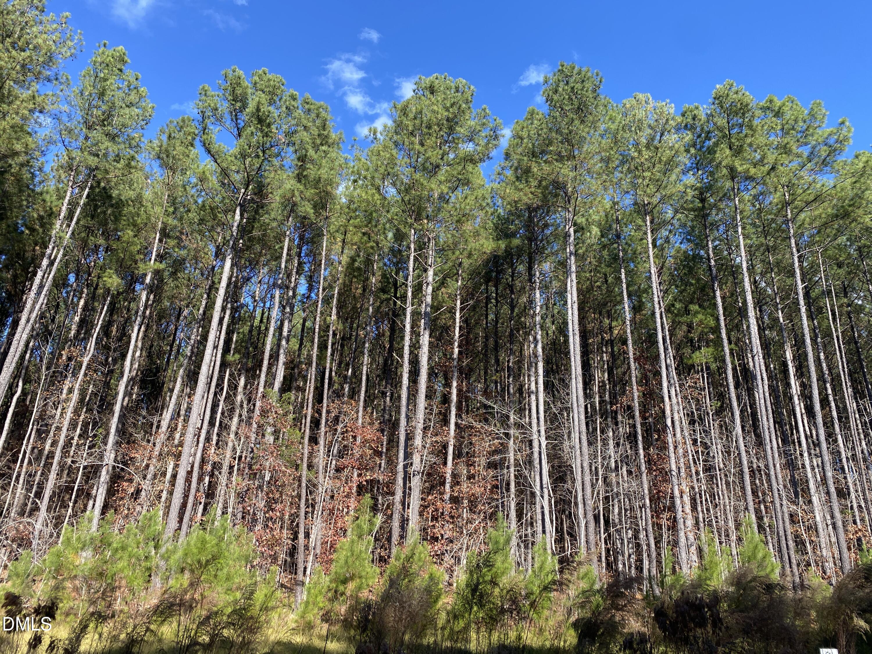 586 Anneliis Lane Siler City, NC 27344 - Photo 3 of 6 a view of outdoor space with a house