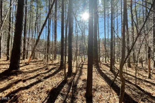 $200,000 | 586 Anneliis Lane, Siler City, NC 27344