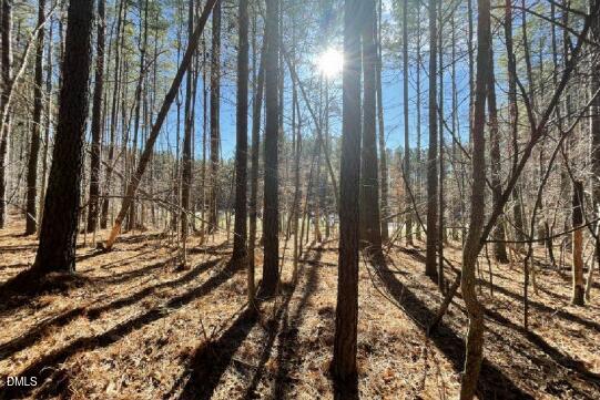586 Anneliis Lane Siler City, NC 27344 - Photo 4 of 6 a view of a yard with plants and trees