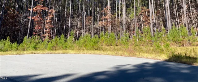 $200,000 | 586 Anneliis Lane, Siler City, NC 27344