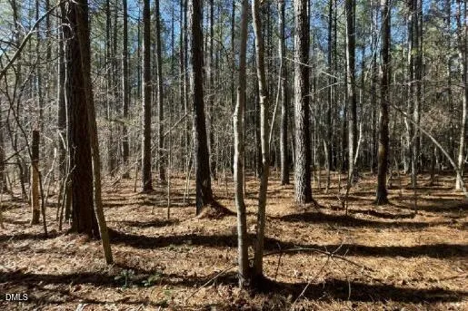 $200,000 | 586 Anneliis Lane, Siler City, NC 27344