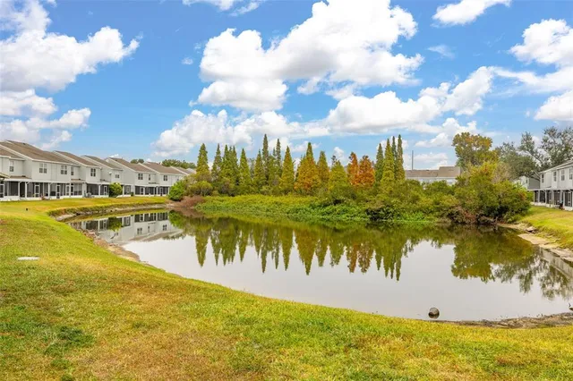 a view of a town with large trees
