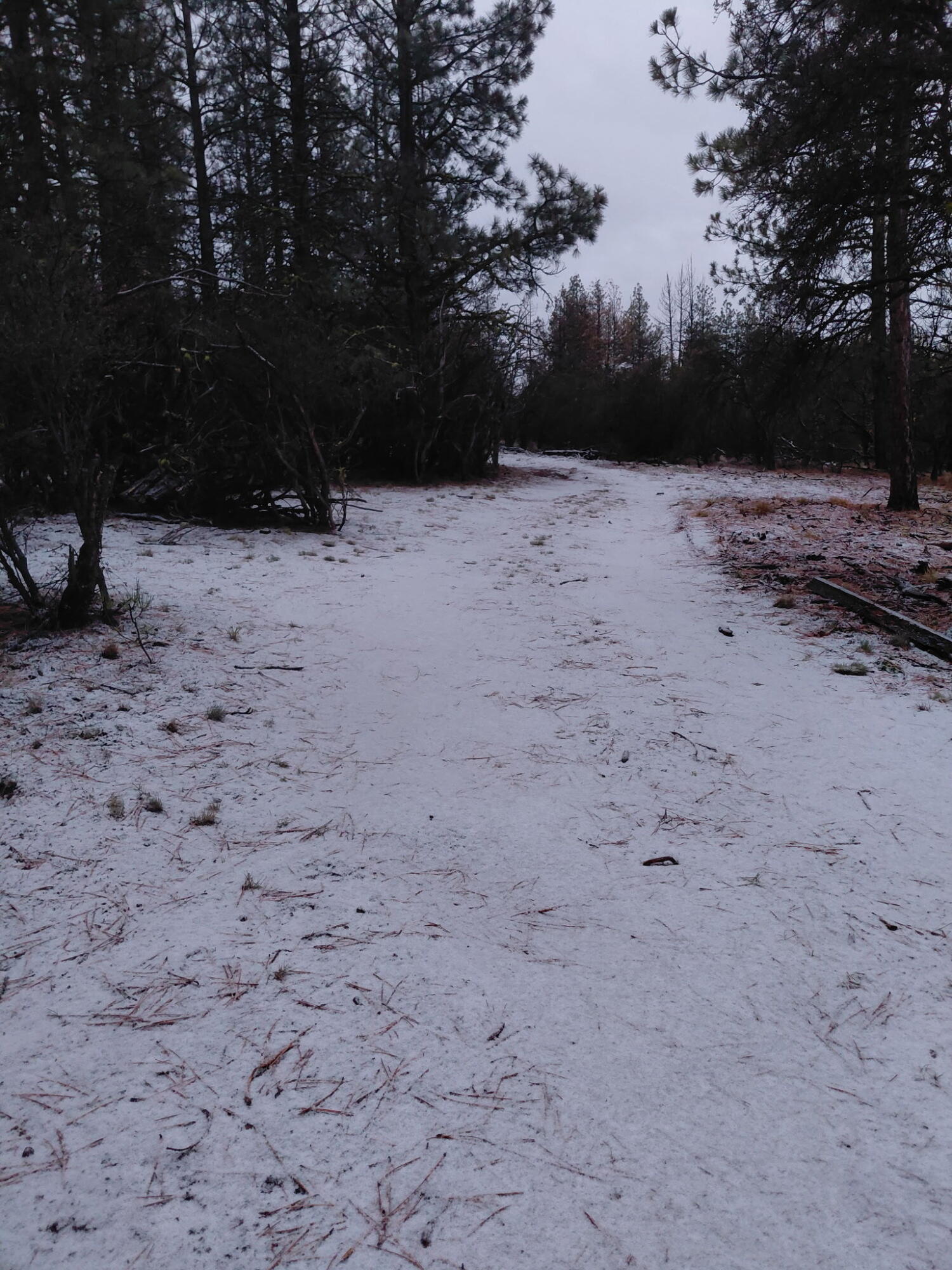 0 Partin Drive, Unit 5 Beatty, OR 97621 - Photo 12 of 16 Driveway