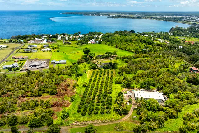 $2,150,000 | 647 Kauhiula Road, Hilo, HI 96720