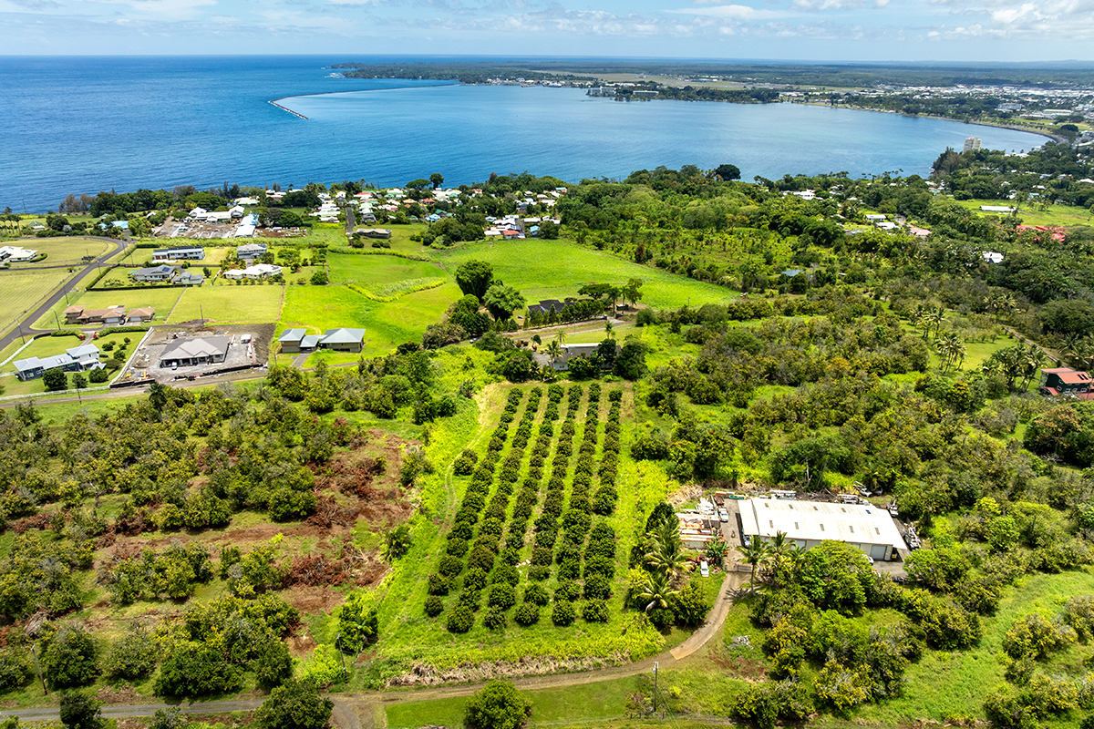 647 Kauhiula Road Hilo, HI 96720 - Photo 25 of 27