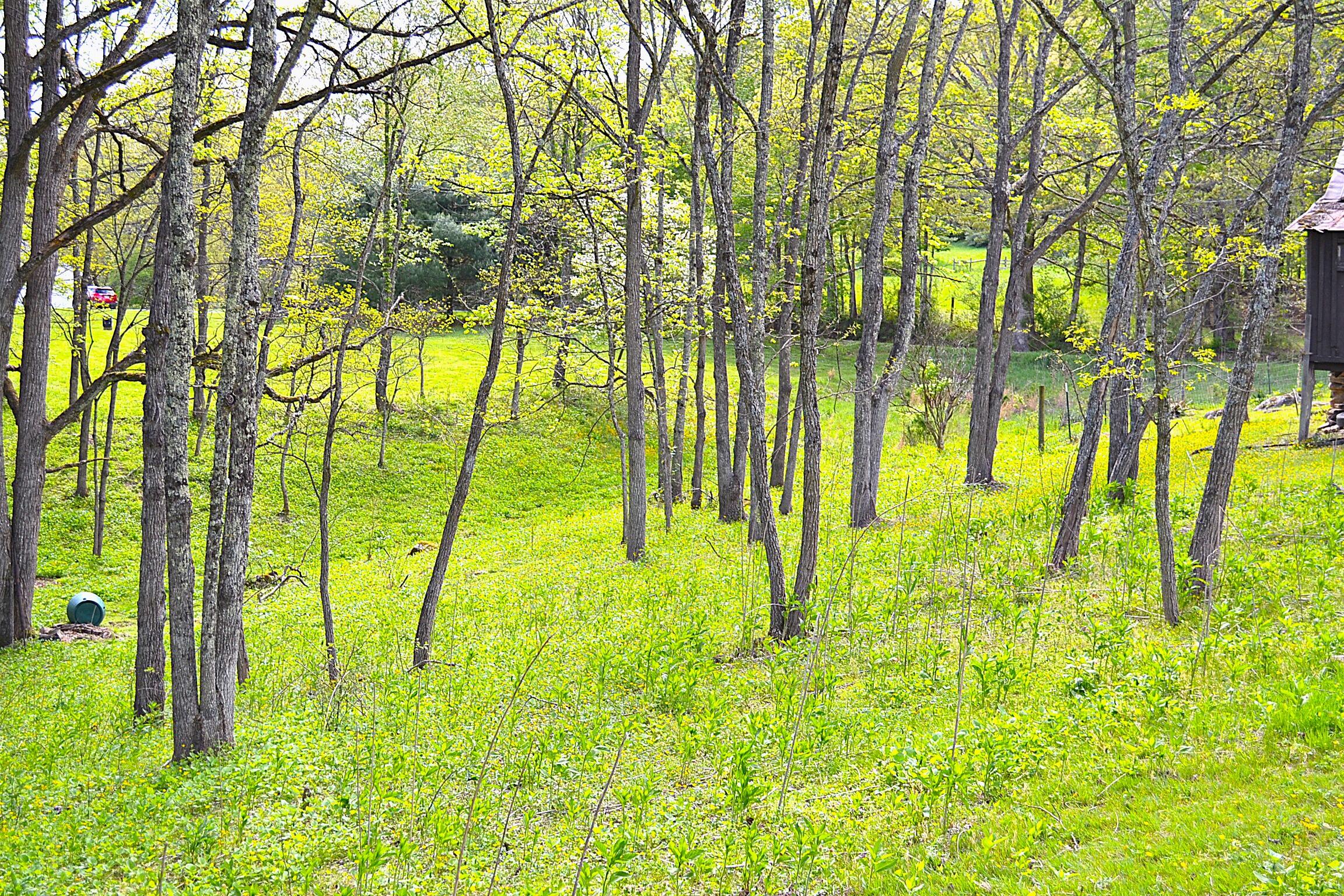 4250 Julia Road Renick, WV 24966 - Photo 26 of 64 Gallery Image 26