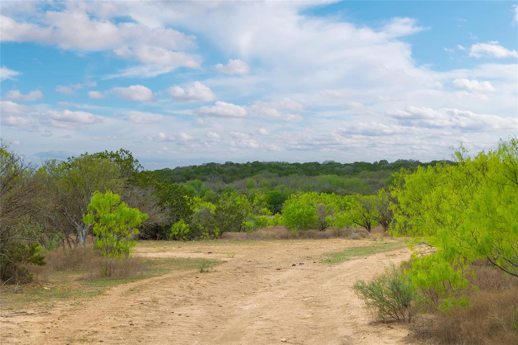 a view of a yard with an ocean beach