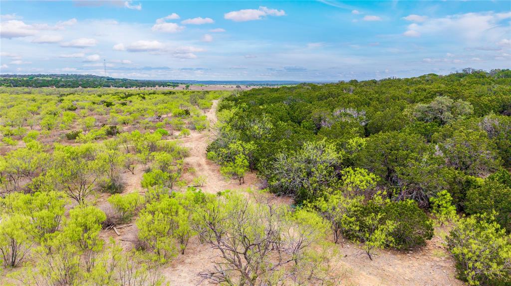 377 Mercury Tx 76872 Rochelle, TX 76872 - Photo 23 of 32 a view of a bunch of trees and bushes