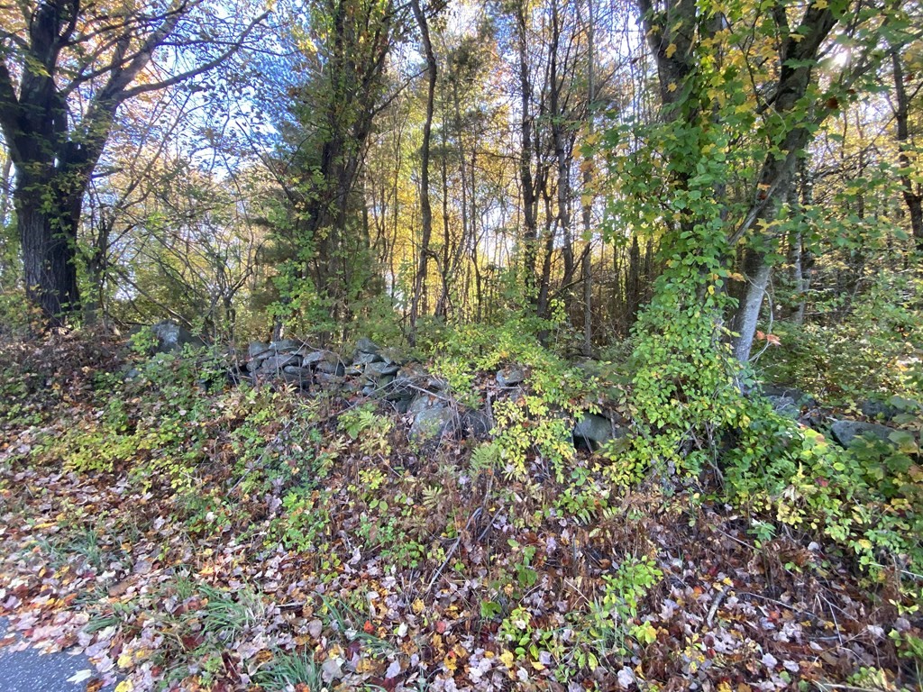 0 Michael Sears Road Belchertown, MA 01007 - Photo 16 of 17 Gallery Image 16