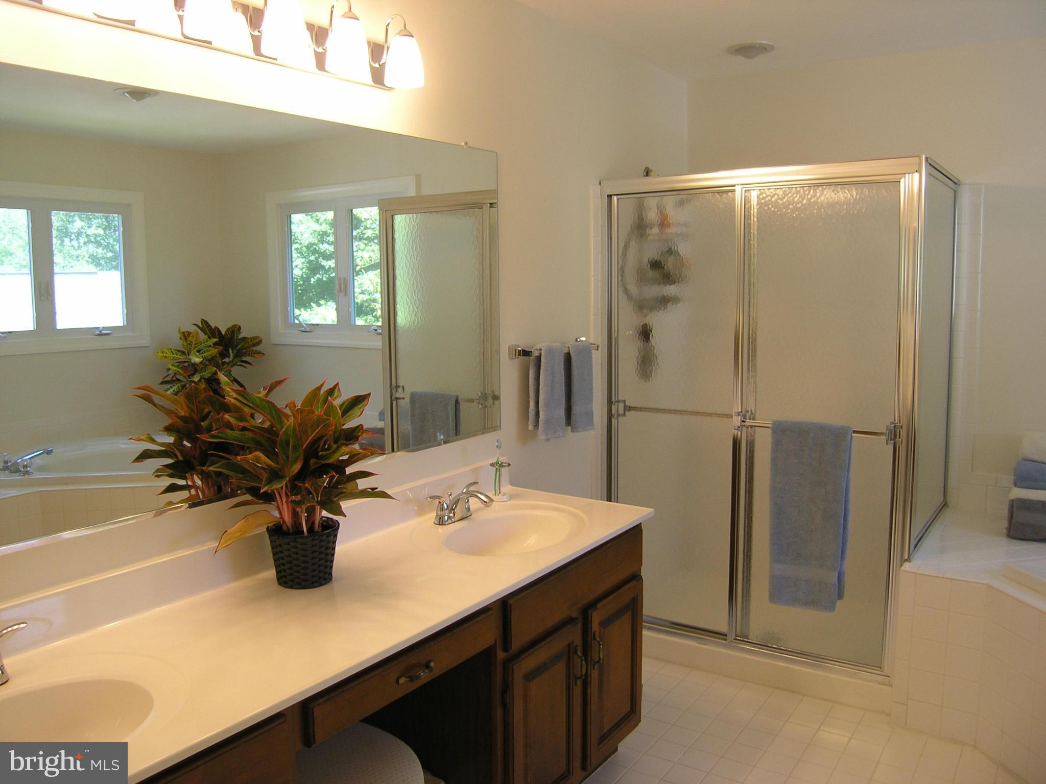 11332 Woodbrook Lane Reston, VA 20194 - Photo 18 of 28 Bath (Master)
