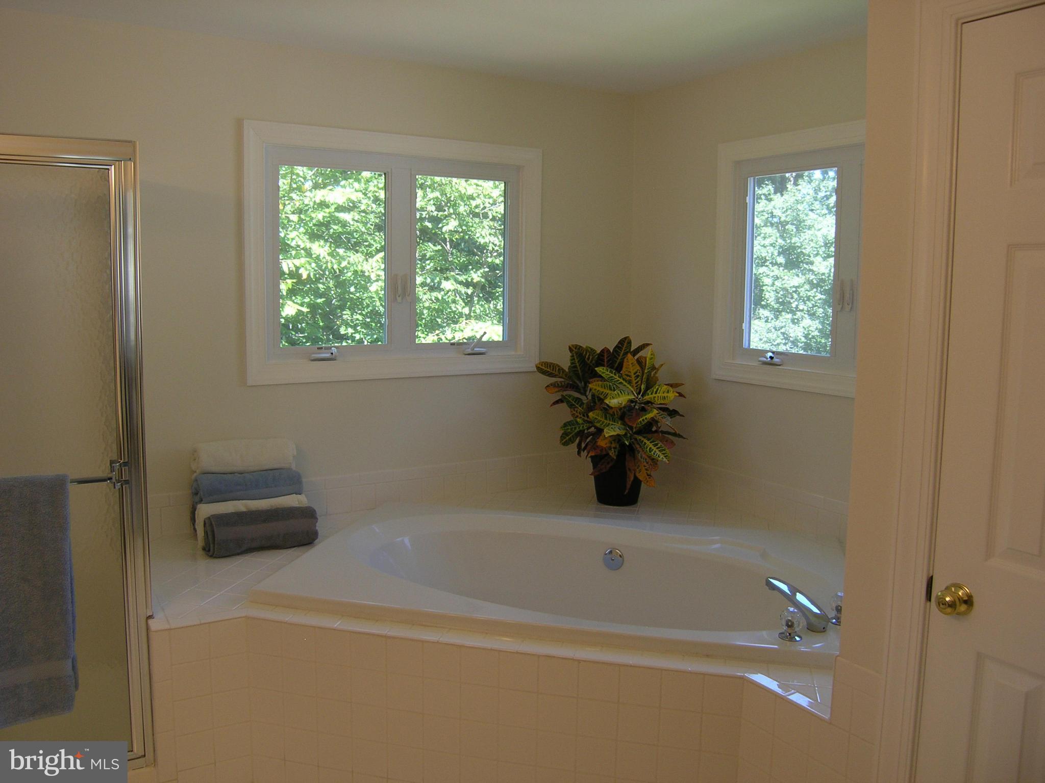11332 Woodbrook Lane Reston, VA 20194 - Photo 19 of 28 Bath (Master)