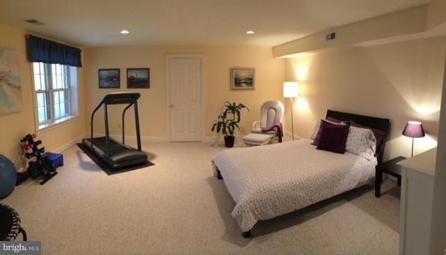 11332 Woodbrook Lane Reston, VA 20194 - Photo 23 of 28 Lower Level Bedroom