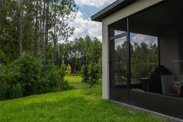 a view of a city with flower plants