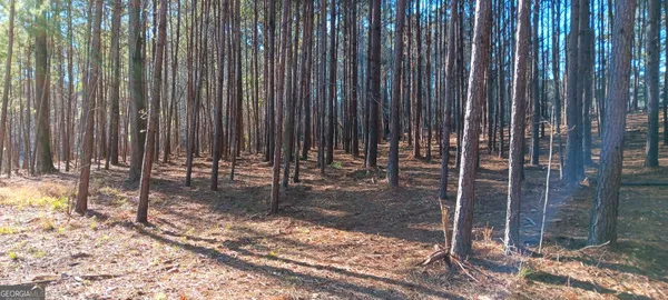 a view of outdoor space with wooden fence