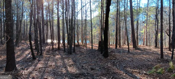 a view of backyard with trees