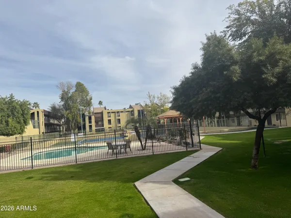 a view of a park with large trees