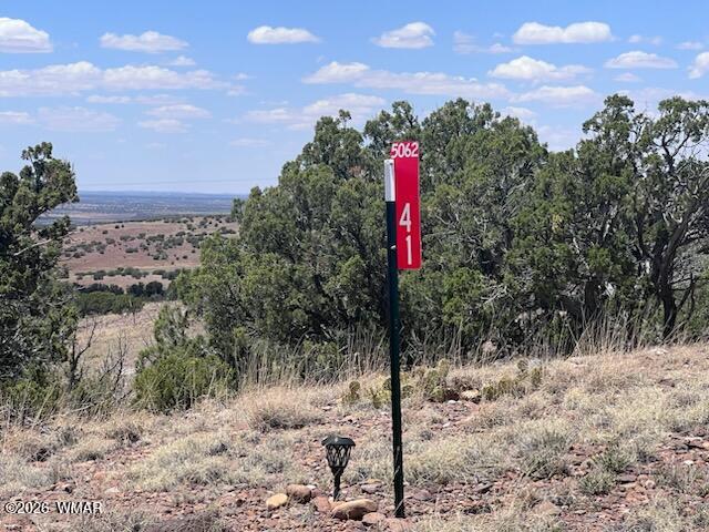 41 Indian Drive Concho, AZ 85924 - Photo 3 of 26 #41 CR 5062
