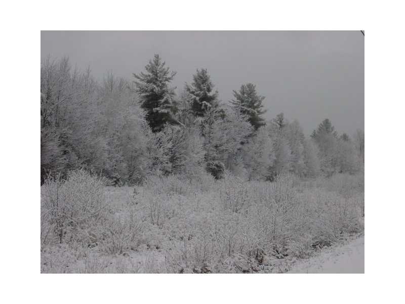 2032 Hillside Road Kingfield, ME 04947 - Photo 5 of 10 Other. Some of the beautiful winter...