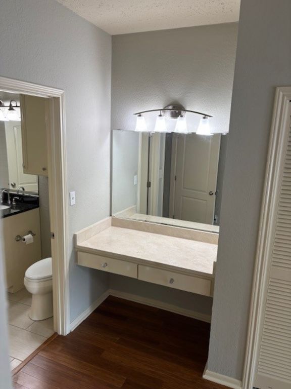 307 Quarry Street San Marcos, TX 78666 - Photo 20 of 38 Bathroom with vanity, dark wood-style floors, a textured ceiling, and a textured wall