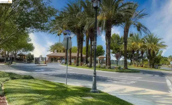 a house with palm tree in front of it