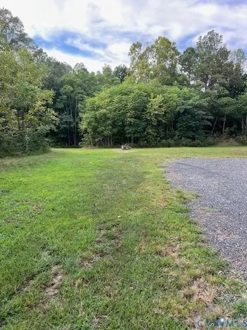 a view of a field with a tree