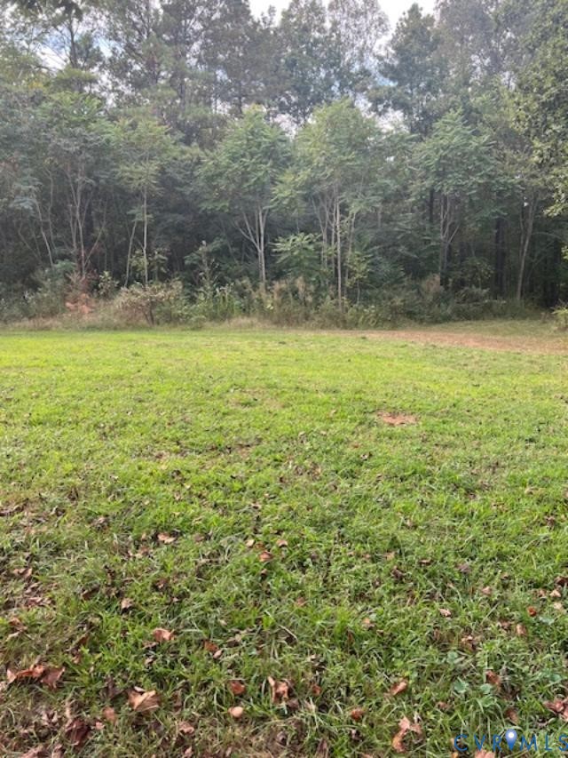 415 Garretts Mill Road Mineral, VA 23117 - Photo 19 of 43 a view of a yard