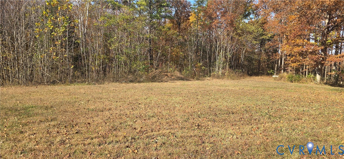 415 Garretts Mill Road Mineral, VA 23117 - Photo 38 of 43 a view of yard