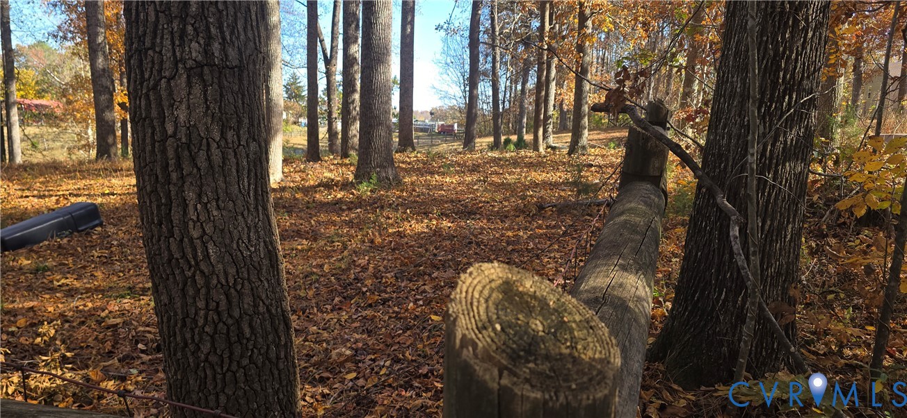 415 Garretts Mill Road Mineral, VA 23117 - Photo 39 of 43 a view of outdoor space and garden
