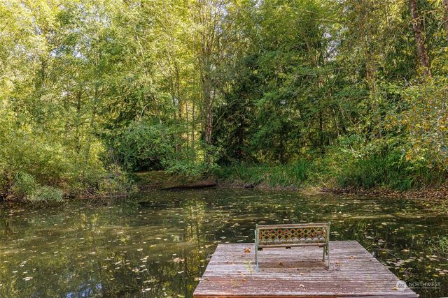 a view of a yard with plants and large trees