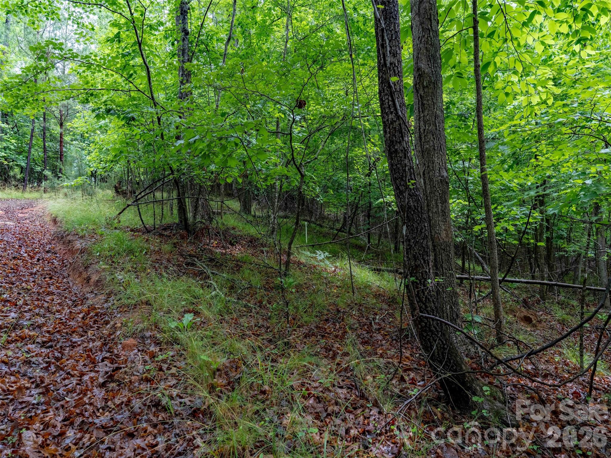 0 Bee Gee Drive Rutherfordton, NC 28139 - Photo 14 of 26