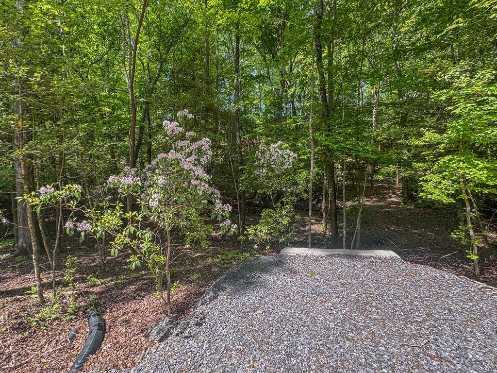1254 Friendship Church Road Murphy, NC 28906 - Photo 47 of 47