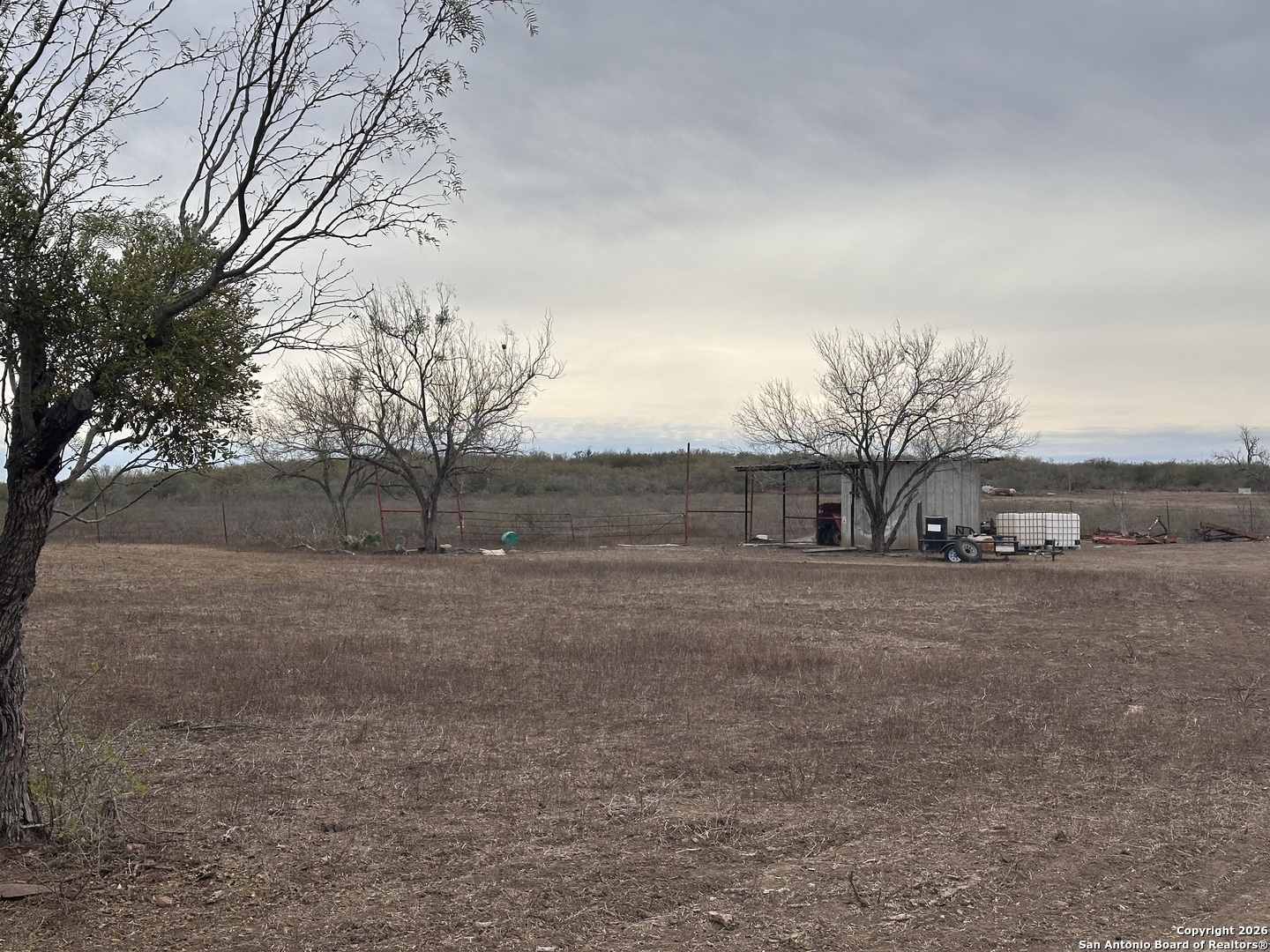 354-easement County Road Charlotte, TX 78011 - Photo 13 of 38 a view of large yard with large trees