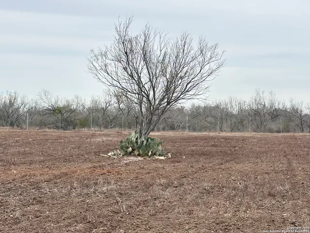 a view of an outdoor space