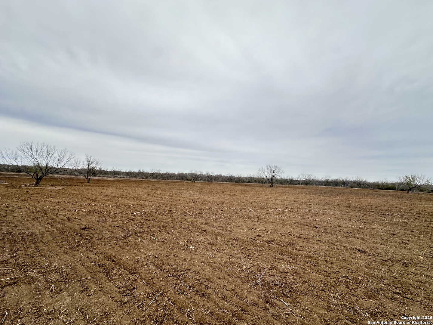 354-easement County Road Charlotte, TX 78011 - Photo 19 of 38