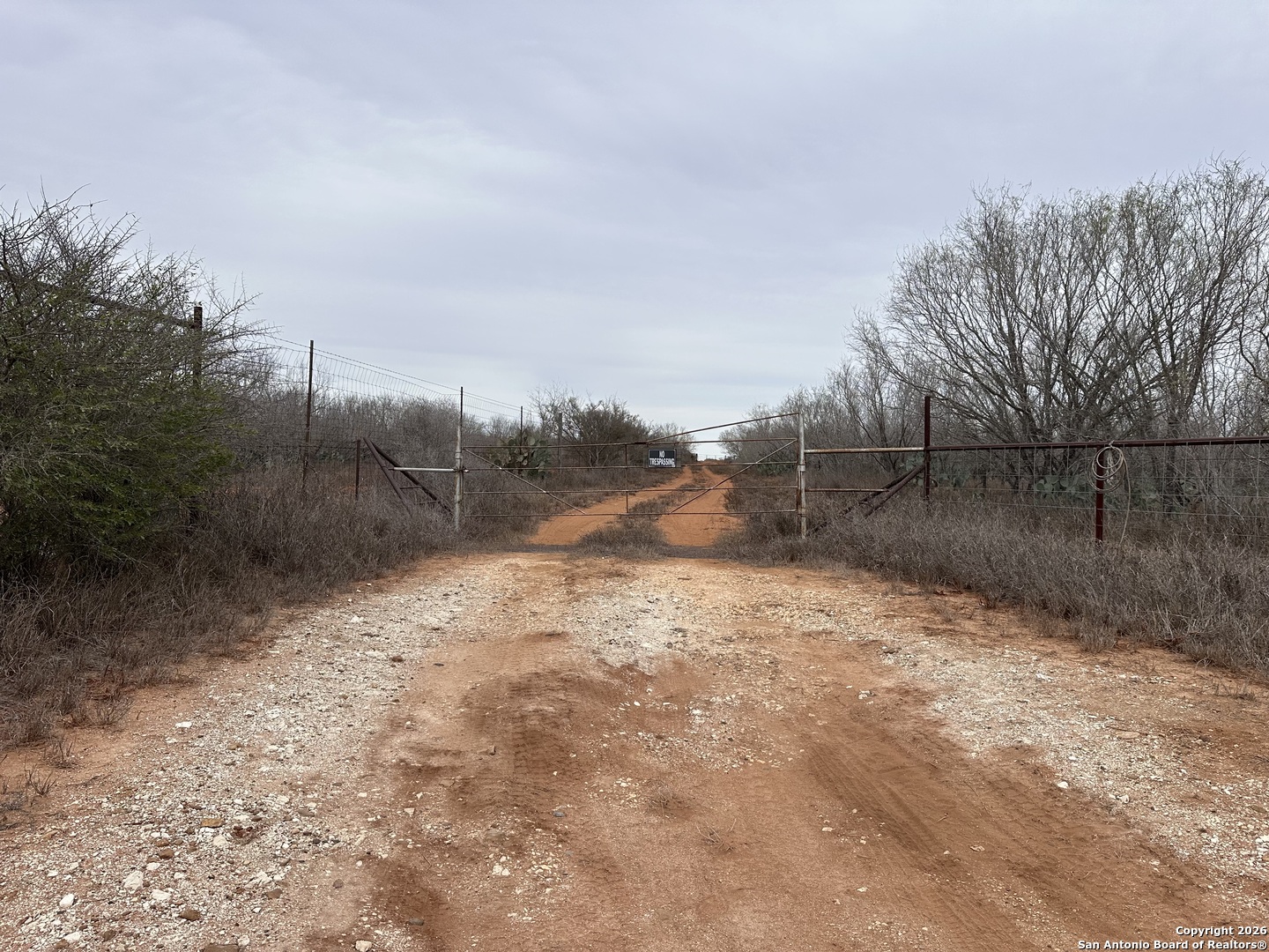 354-easement County Road Charlotte, TX 78011 - Photo 2 of 38 a backyard of a house with lots of green space