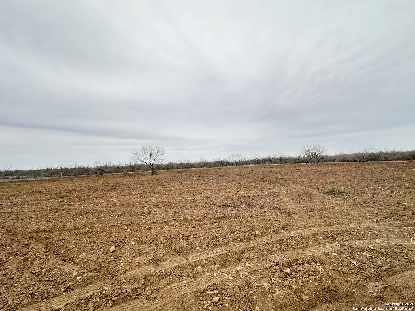 354-easement County Road Charlotte, TX 78011 - Photo 24 of 38
