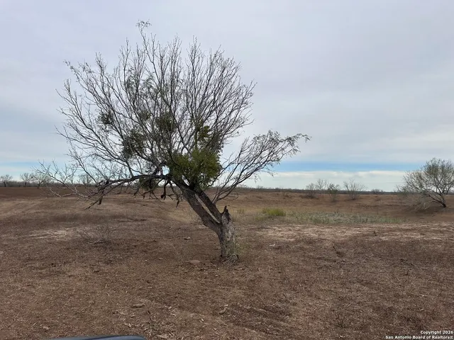 a view of an ocean beach