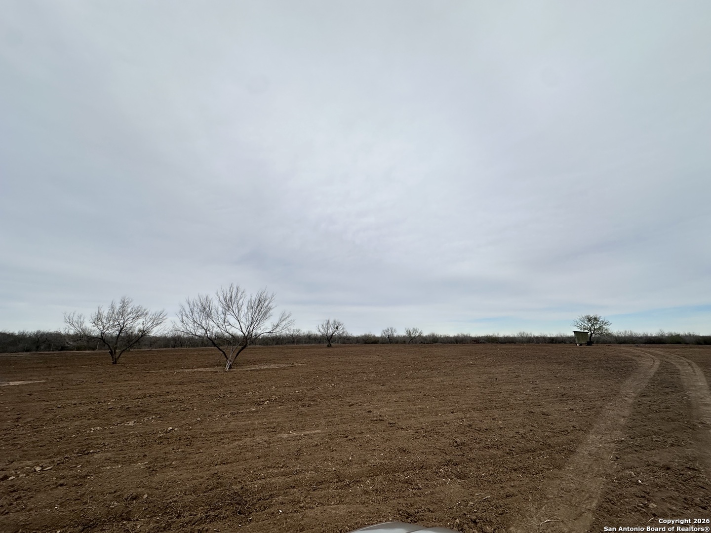 354-easement County Road Charlotte, TX 78011 - Photo 26 of 38