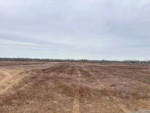a view of a dry yard with wooden fence