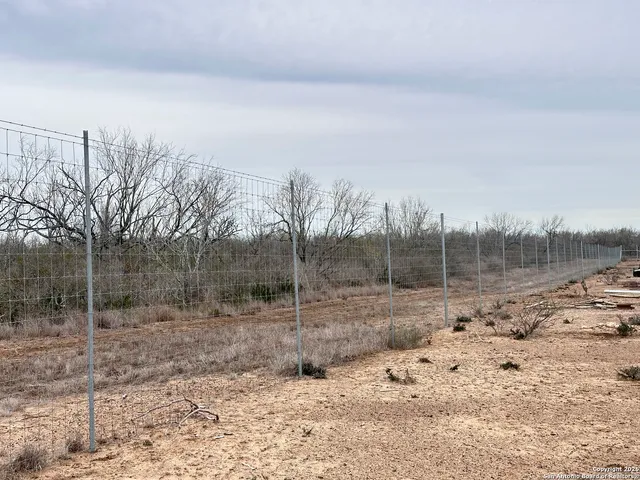 a view of a dry yard with wooden fence