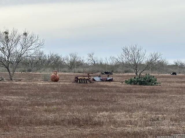 a view of a dry yard with trees