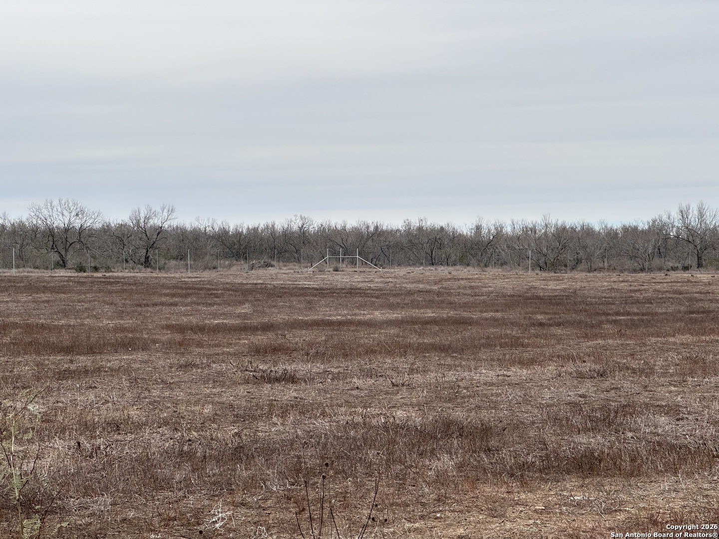 354-easement County Road Charlotte, TX 78011 - Photo 5 of 38 a view of a field with trees in background