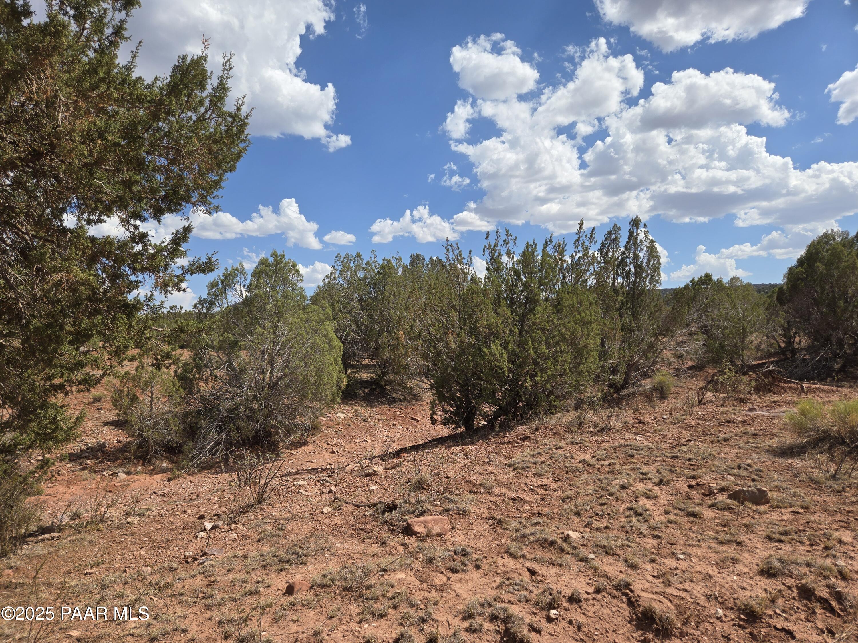 215 Off Cathedral Valley Ash Fork, AZ 86320 - Photo 11 of 24 20250809_144914