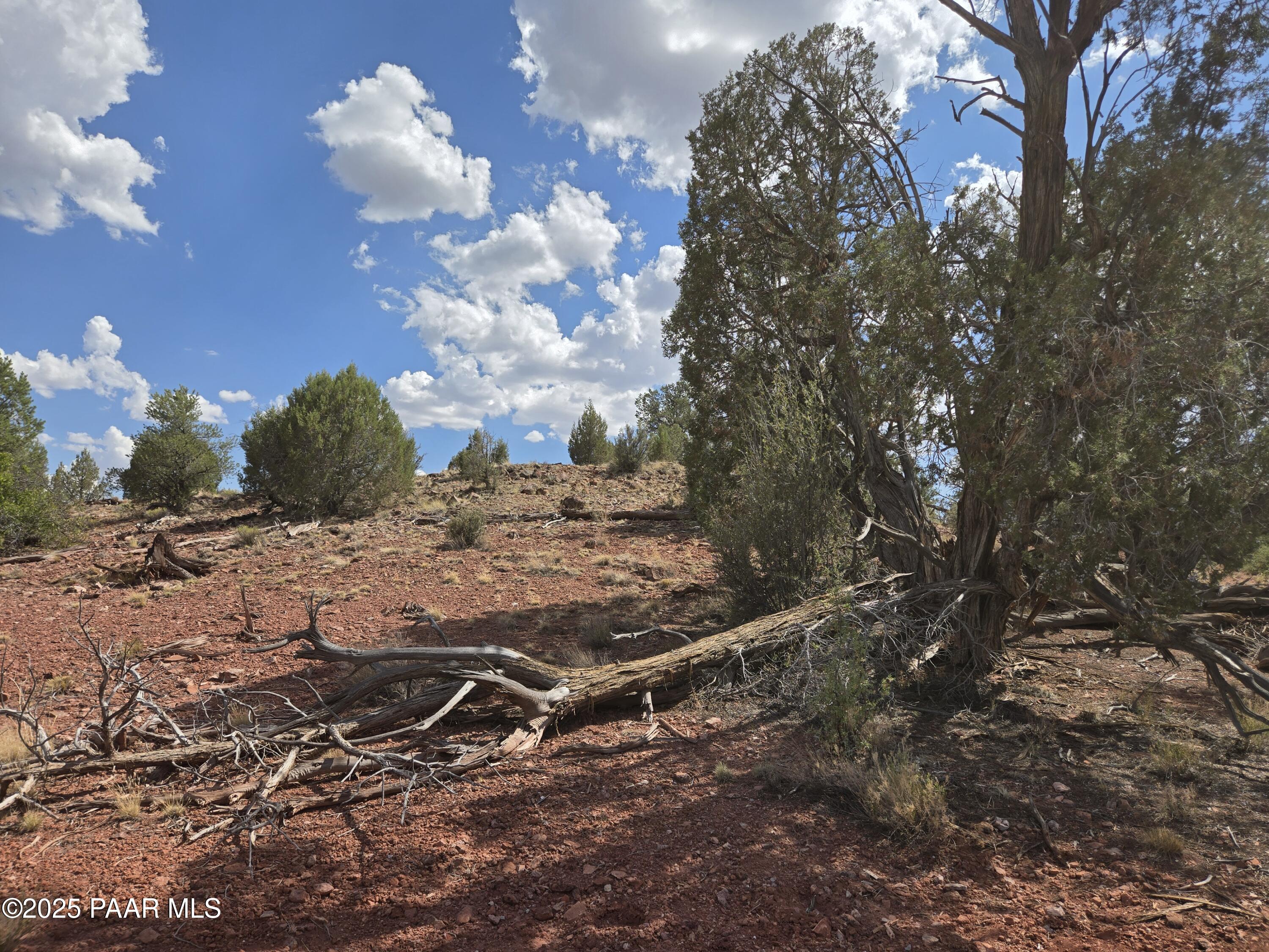 215 Off Cathedral Valley Ash Fork, AZ 86320 - Photo 14 of 24 20250809_145115
